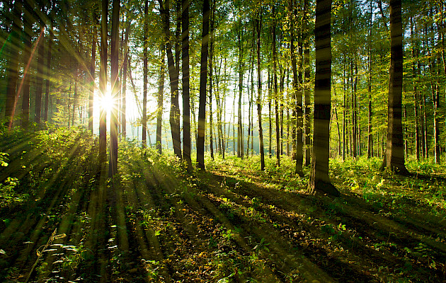 Etiket Nederland is FSC® certified